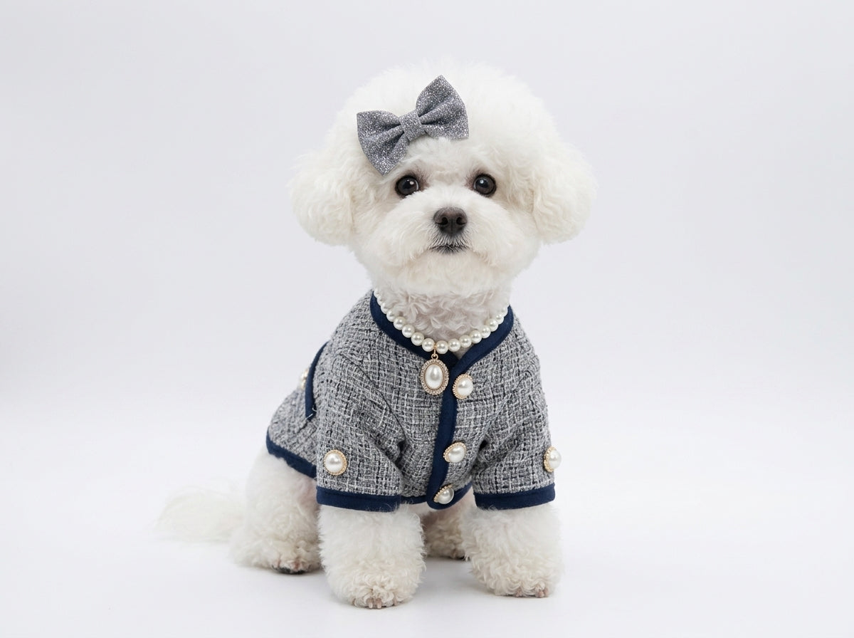 The Runway Edit: Defining Haute Couture for the Modern Pet