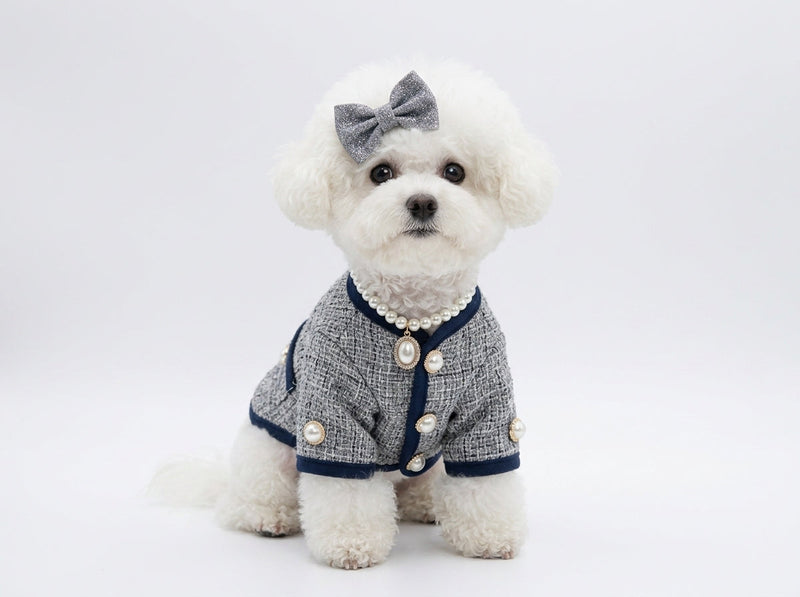 The Runway Edit: Defining Haute Couture for the Modern Pet