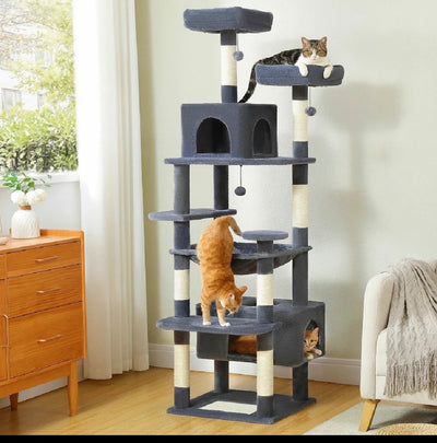 Interactive Feline Play