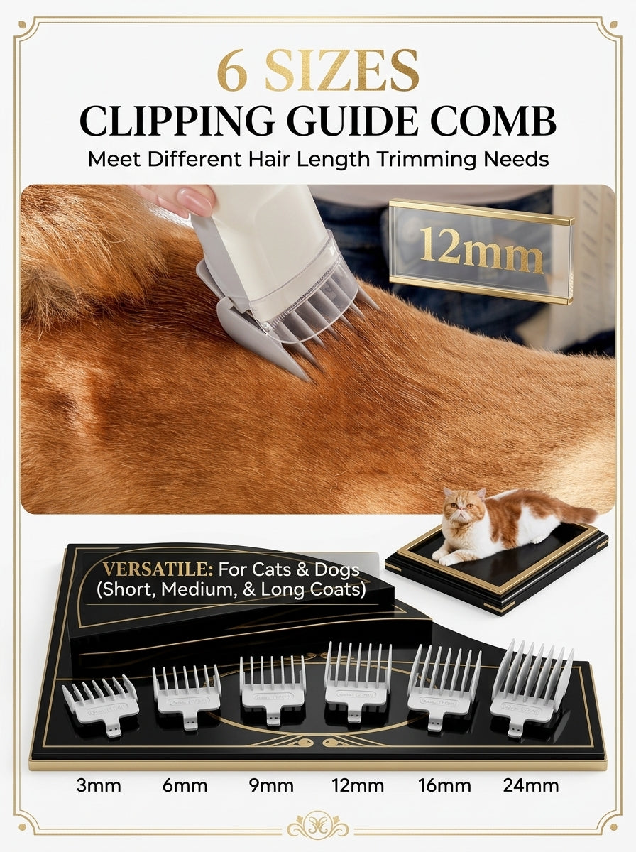 Pro Dog Grooming Vacuum (2.5L) + Custom Collar Bundle.