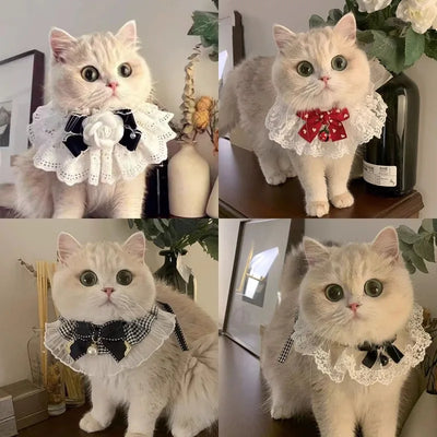 The Pearl & Silk Ribbon Collar