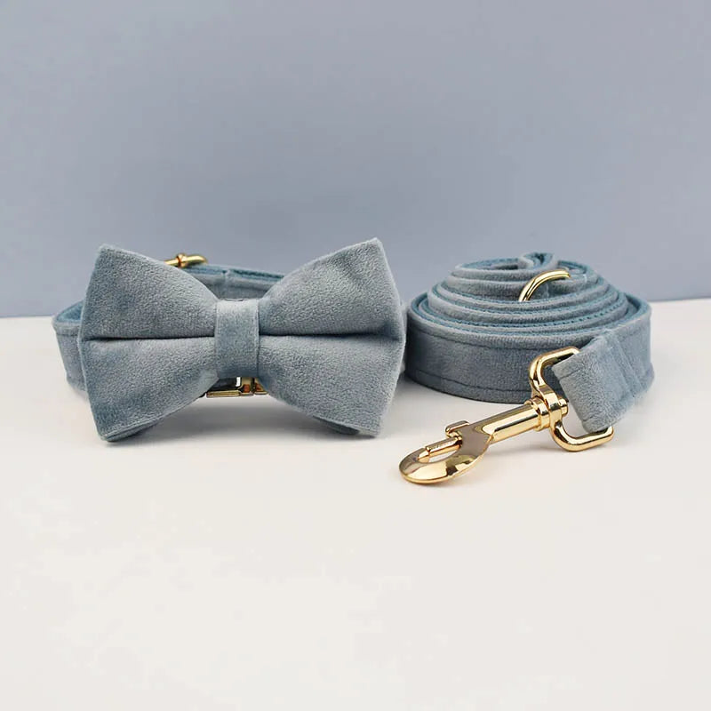 The Prestige Retractable Lead (Blue)