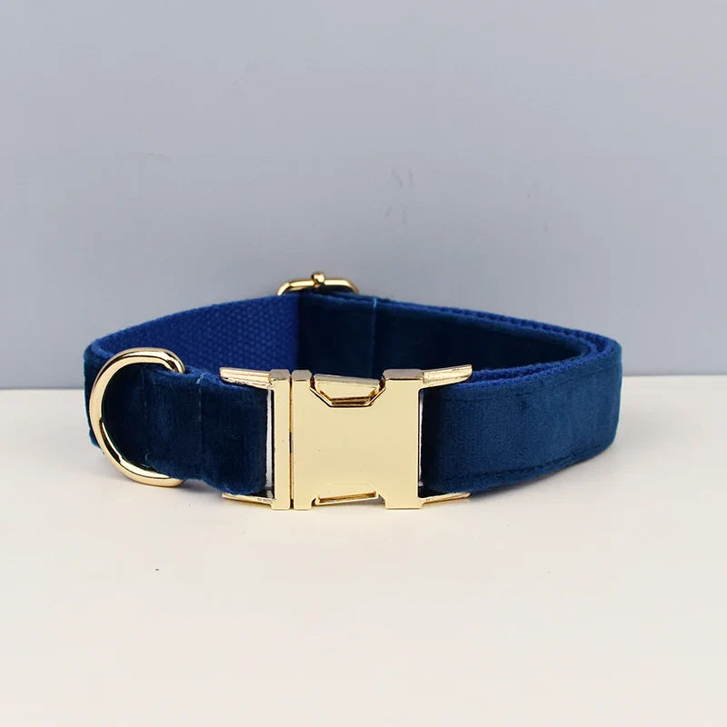 The Prestige Retractable Lead (light blue)