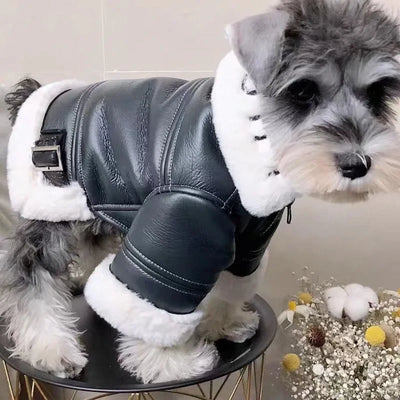 The Alpine Aviator Coat
