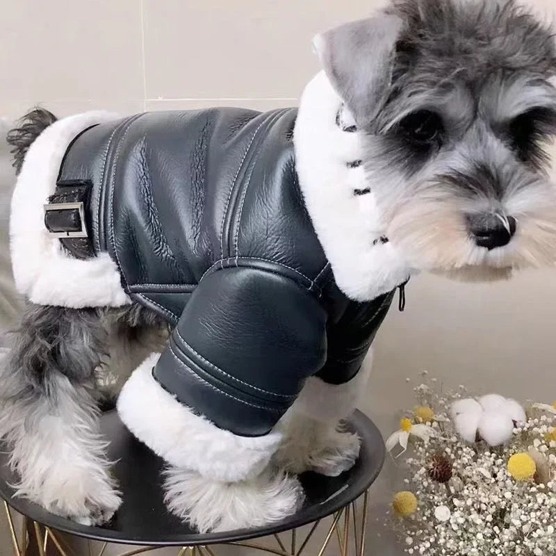 The Alpine Aviator Coat