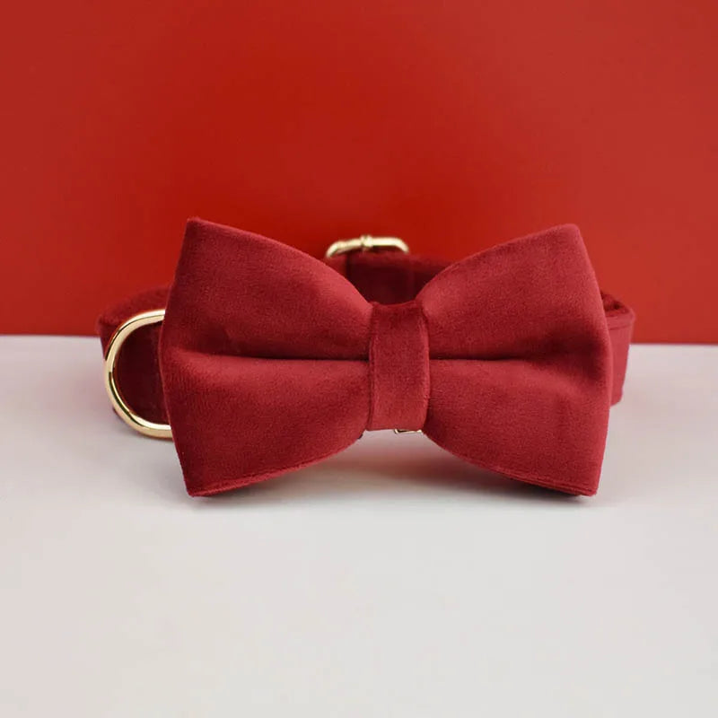 Artisan Velvet Custom Collar