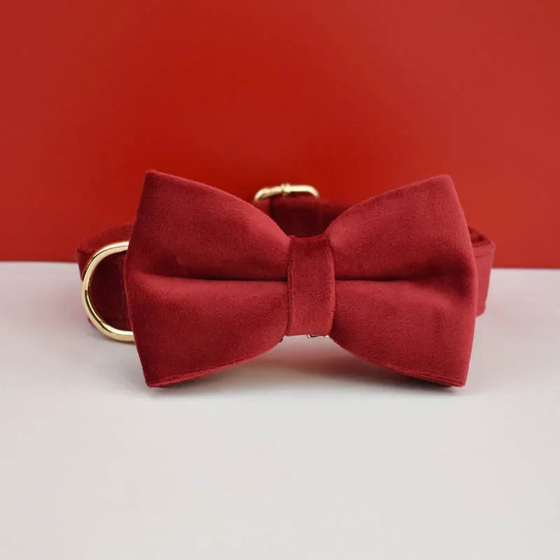 The Artisan Velvet Custom Collar (Blush)