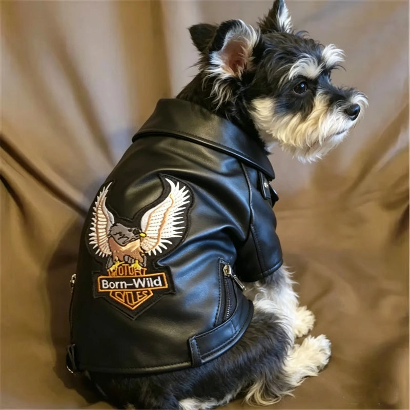 The Maverick Moto Jacket