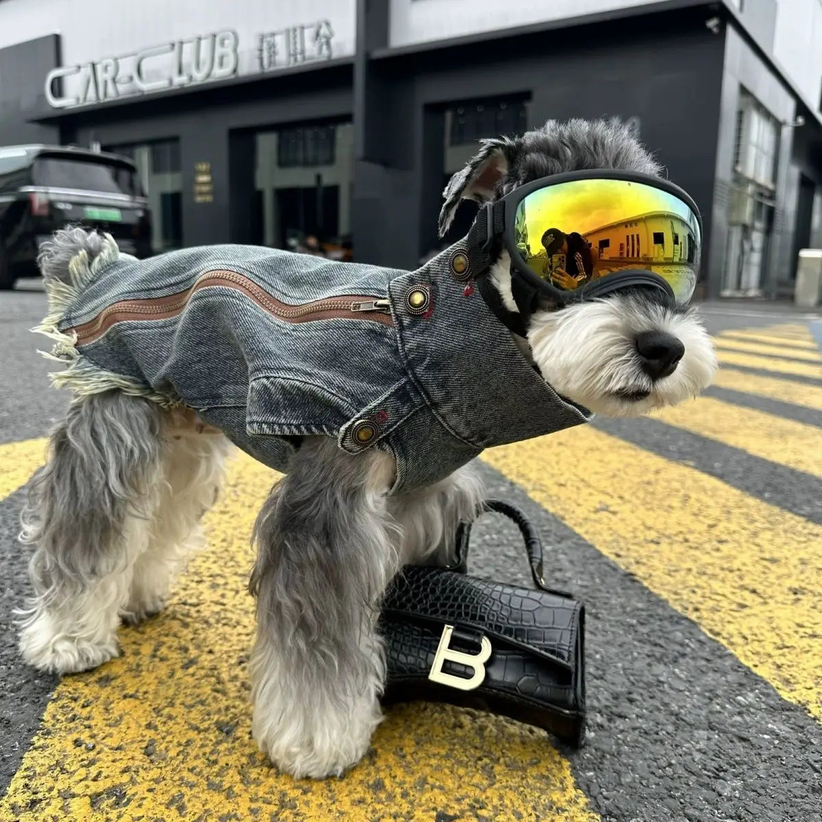 Distress-Wash Denim Street Vest