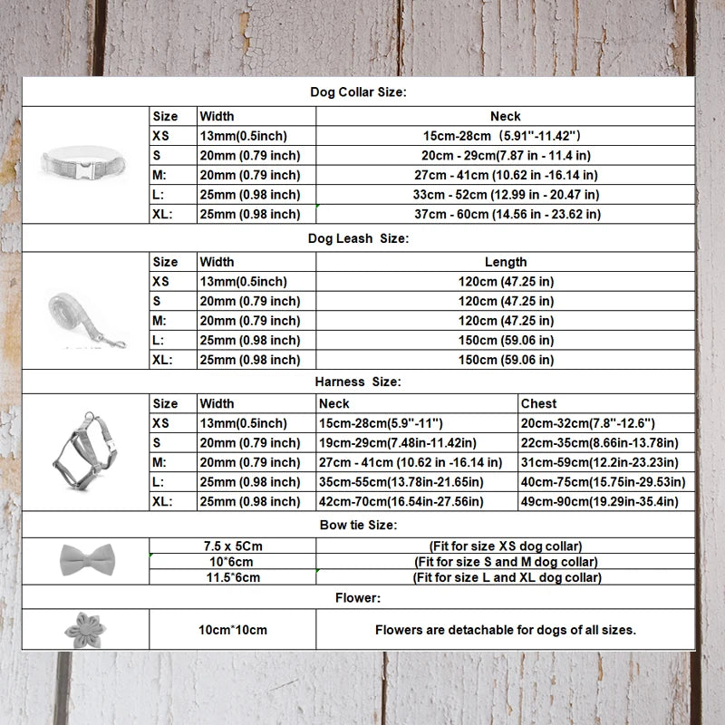 Prestige Retractable Lead System