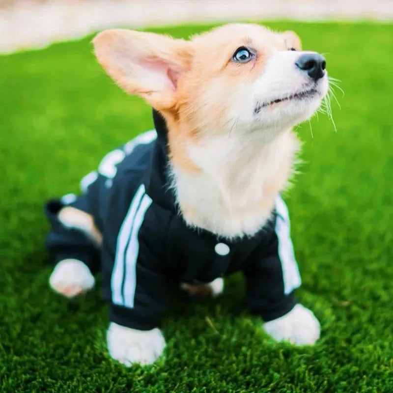 The Essential Cloud-Knit Onesie