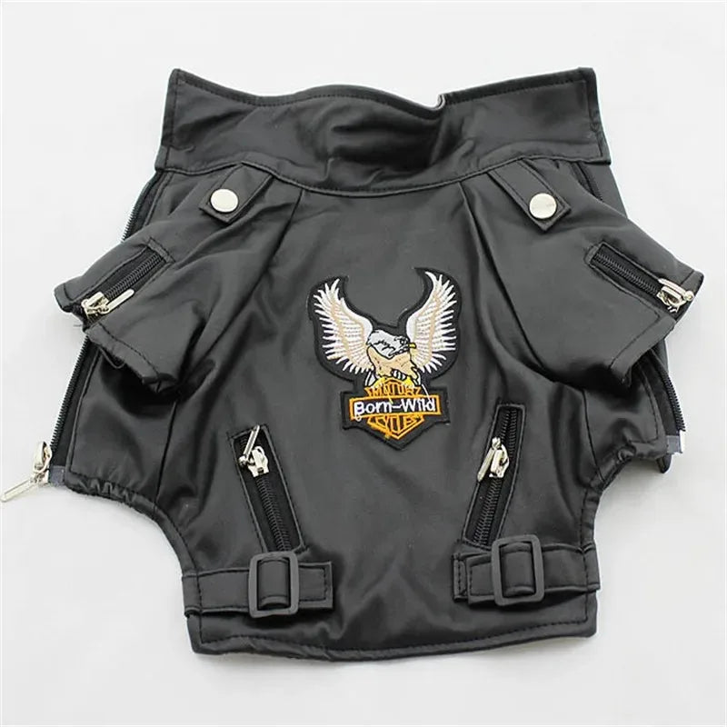 The Maverick Moto Jacket