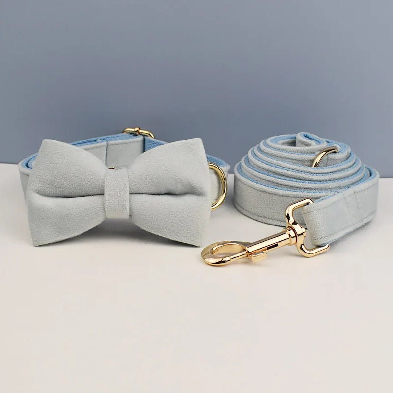 The Prestige Retractable Lead (Blue)