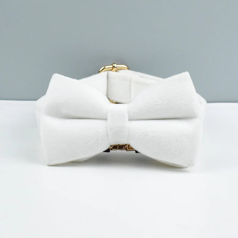 Artisan Velvet Custom Collar
