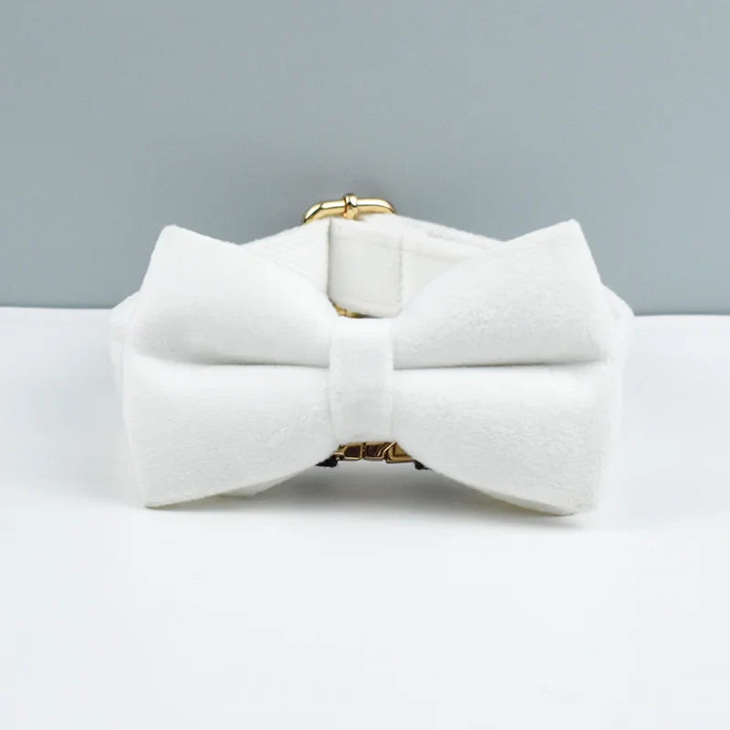 The Artisan Velvet Custom Collar (Chestnut)
