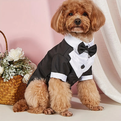 The Classic Oxford Bowtie Shirt