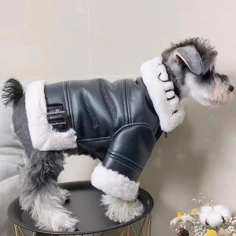 The Alpine Aviator Coat