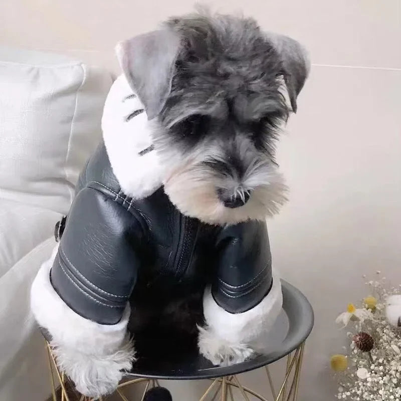 The Alpine Aviator Coat
