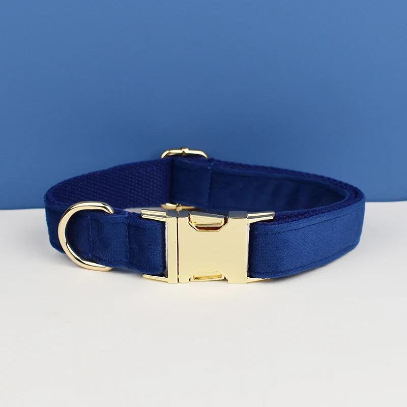 The Prestige Retractable Lead (Cobalt)
