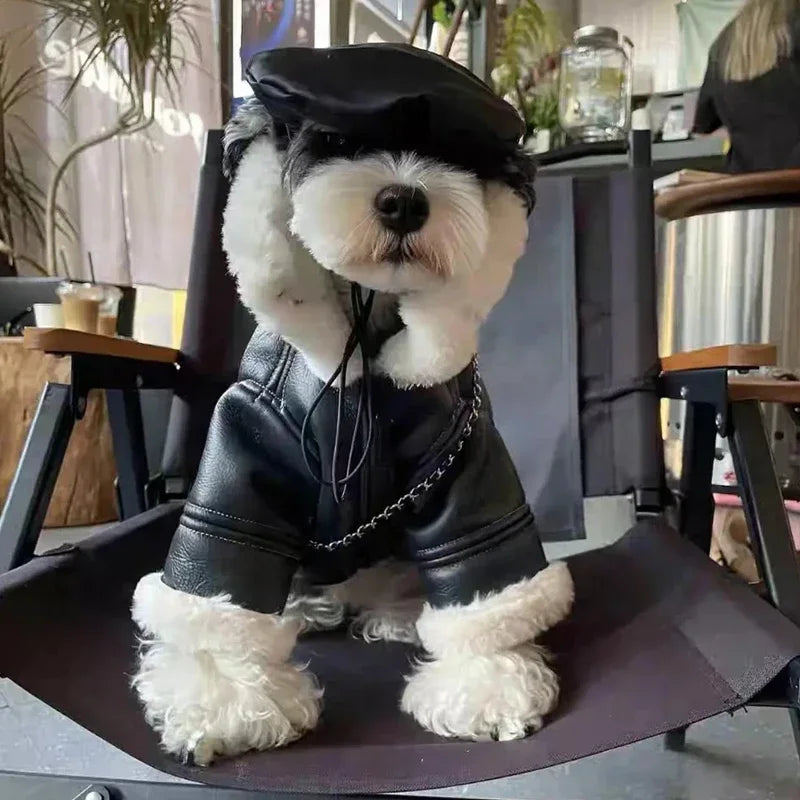 The Alpine Aviator Coat