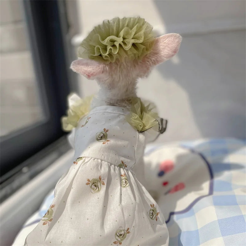 The Botanical Lace Gown & Crown Set