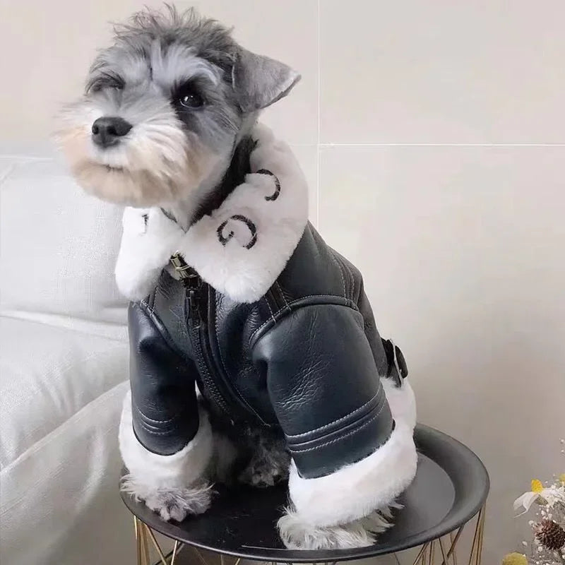 The Alpine Aviator Coat