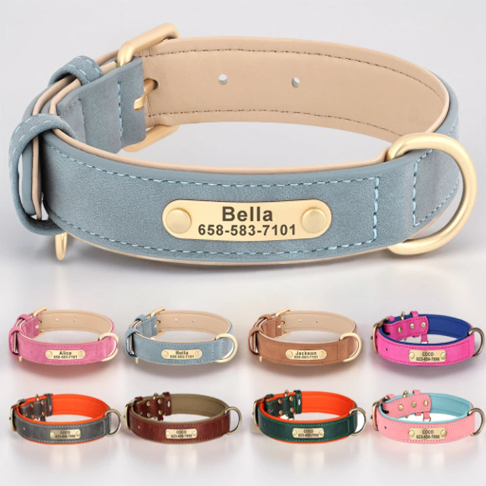 The Classic Engraved Leather Collar