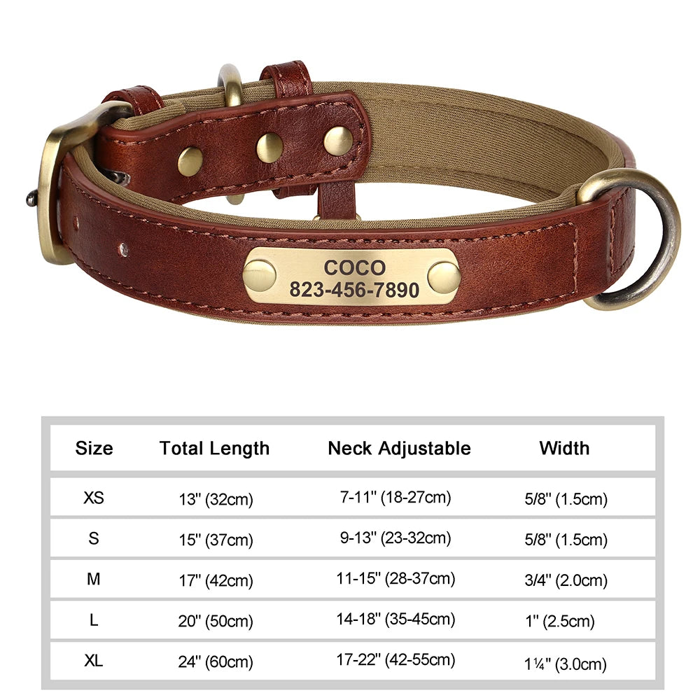 The Classic Engraved Leather Collar