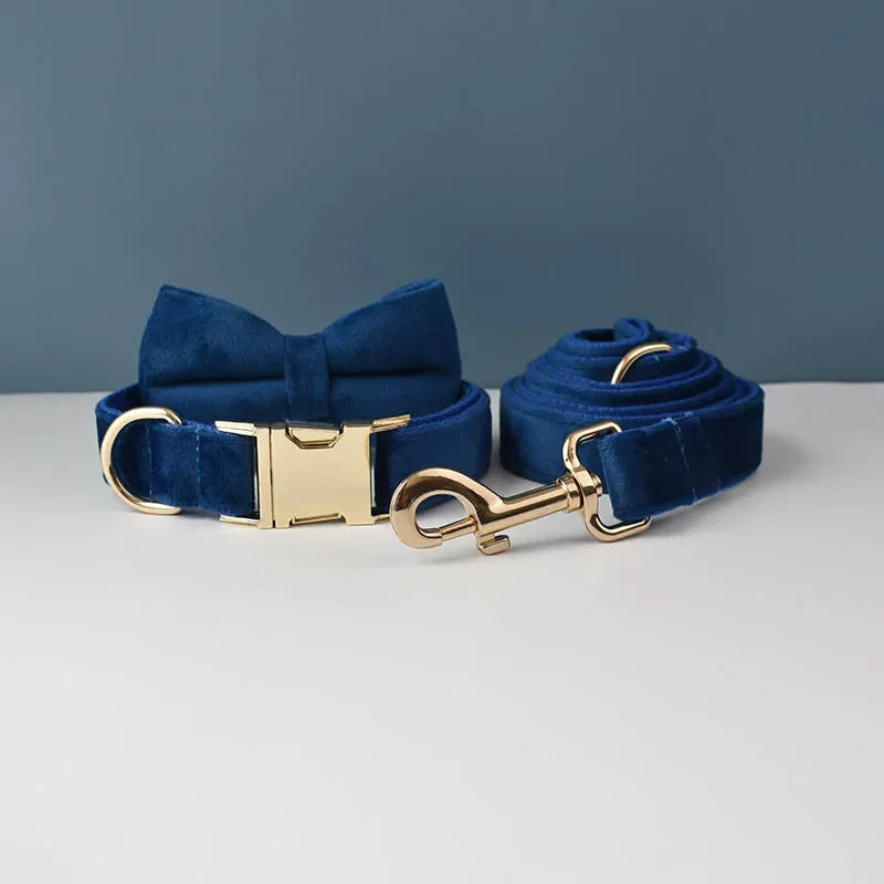 The Prestige Retractable Lead (Cobalt)
