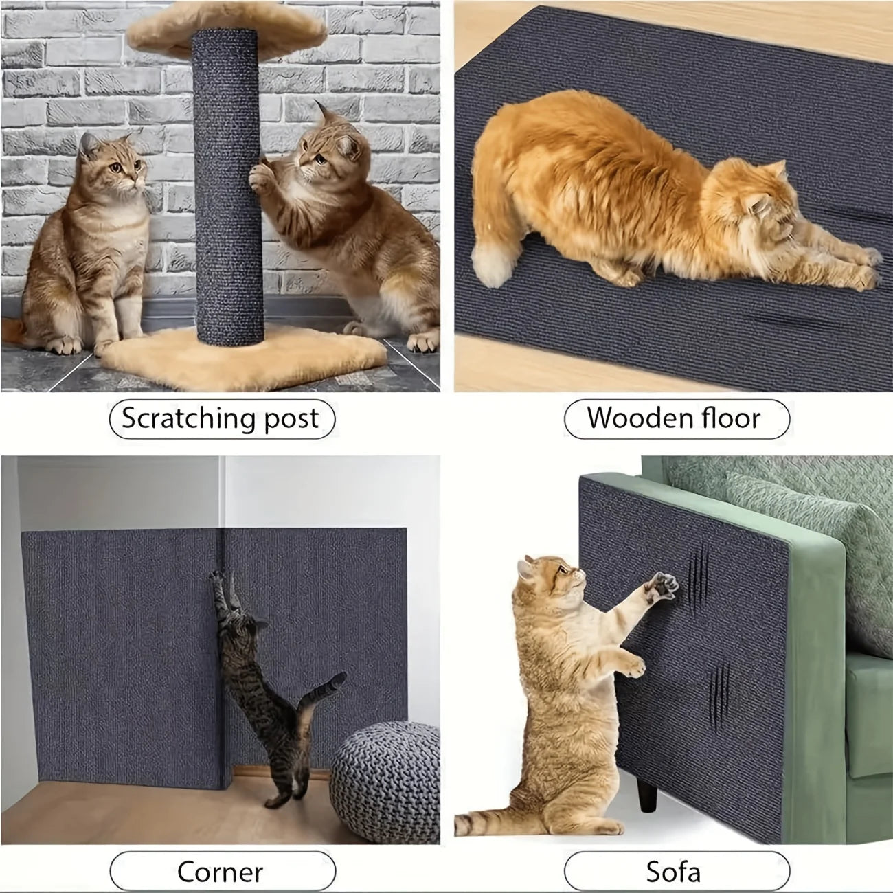 2 Shield Anti-Scratch Film