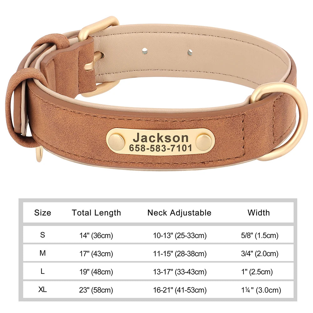 The Classic Engraved Leather Collar