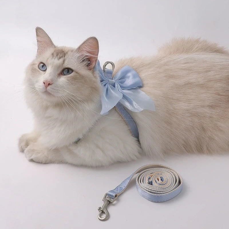 The Signature Comfort Harness & Leash