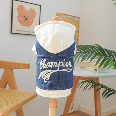 The Varsity Knit Sweater