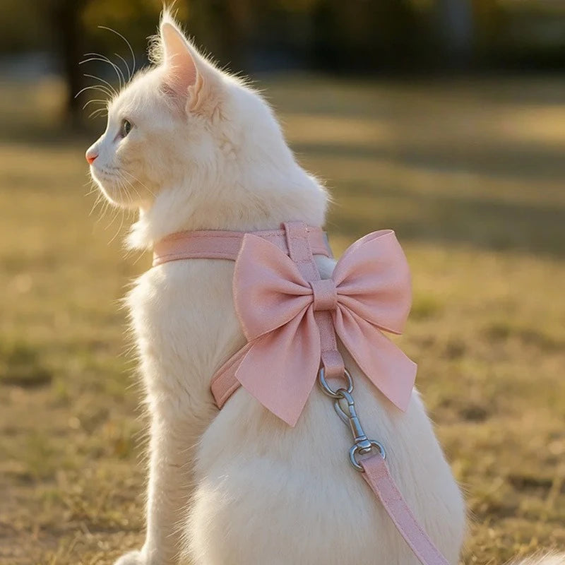 The Signature Comfort Harness & Leash