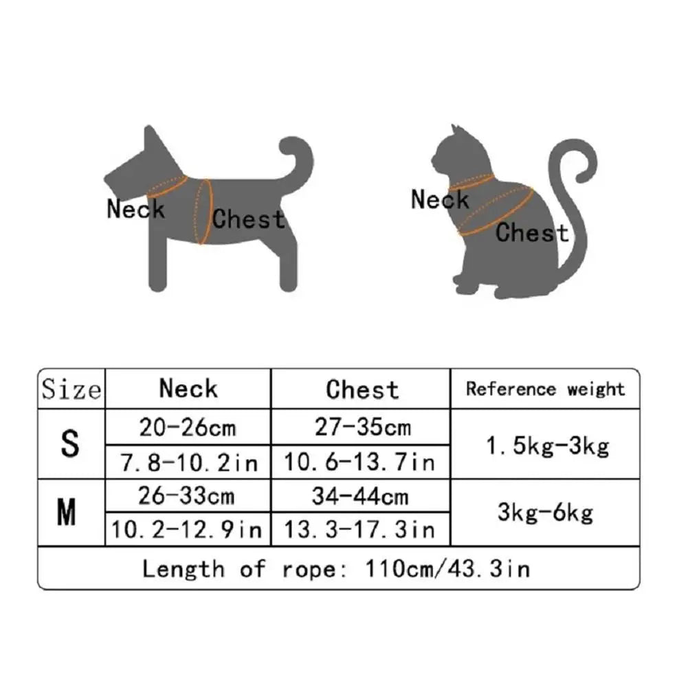 Denim Style Bear Vest Pet Harness & Leash Set