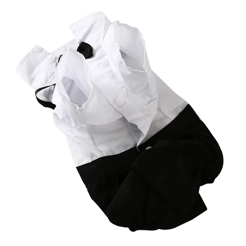 The Royal Windsor Tuxedo