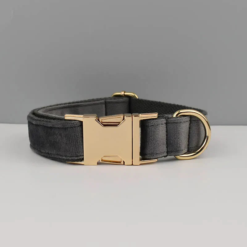 The Prestige Retractable Lead (Cobalt)