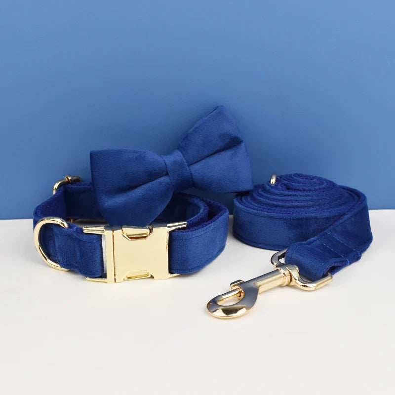 The Prestige Retractable Lead (Aqua)