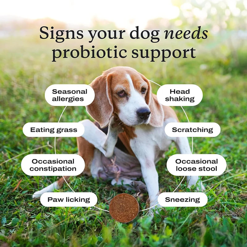 GutGuard Advanced Probiotic Chews