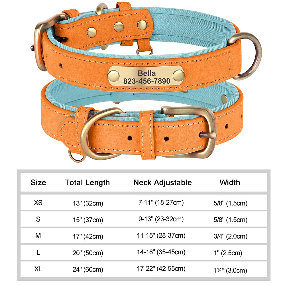 The Classic Engraved Leather Collar