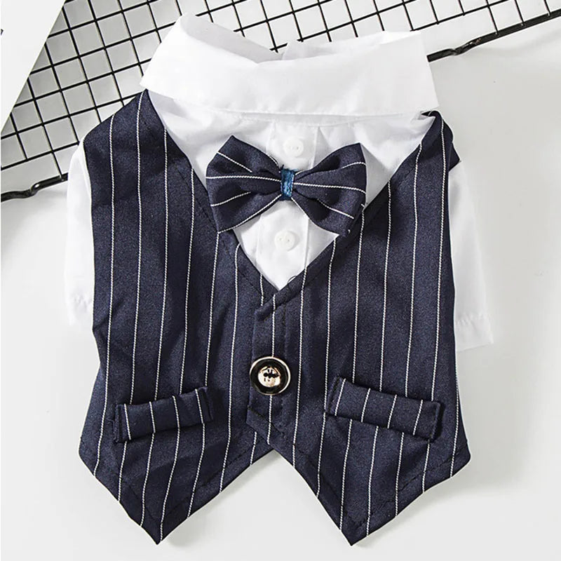 The Sovereign Suit