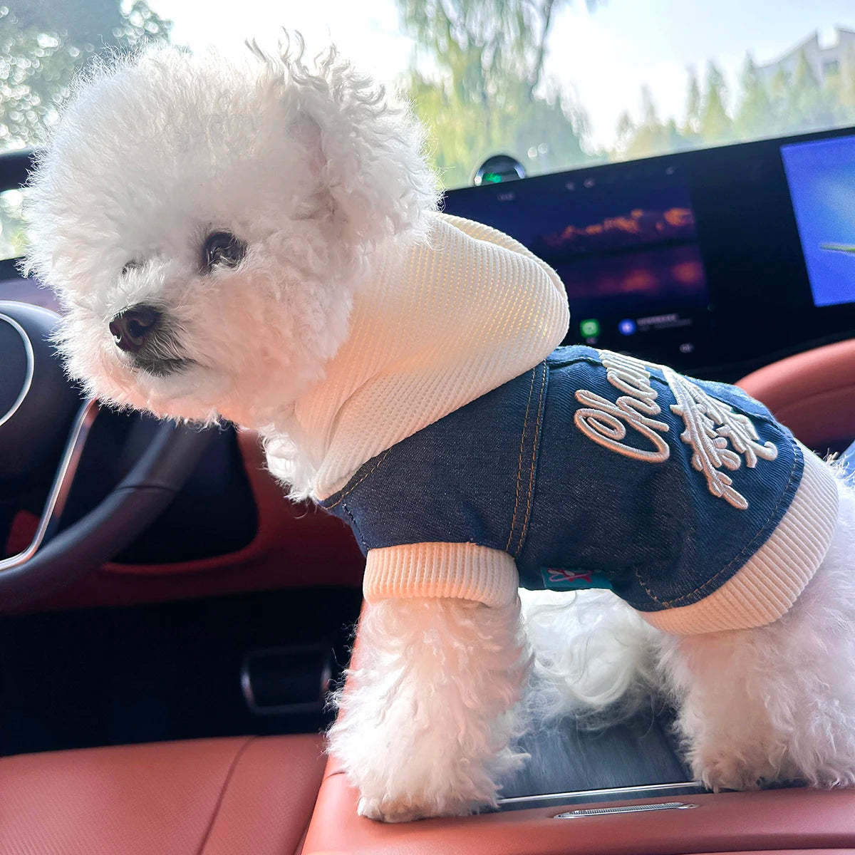 The Varsity Knit Sweater