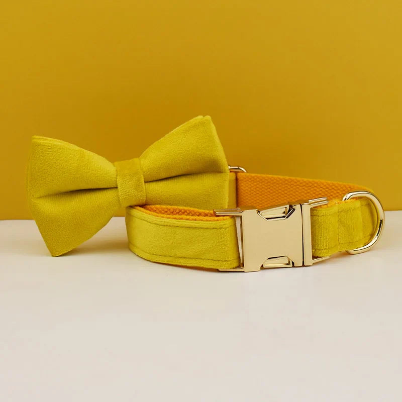 Custom Engraved Velvet Collar & Bow Tie - Champagne Texture