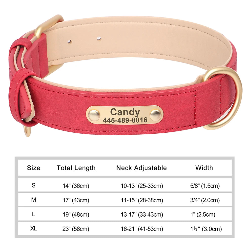 The Classic Engraved Leather Collar