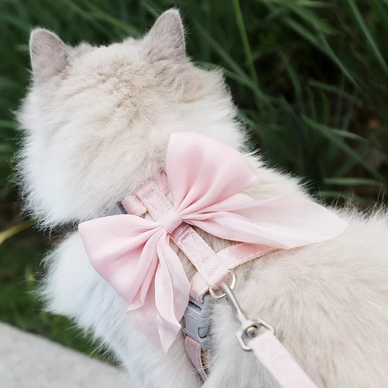 The Signature Comfort Harness & Leash