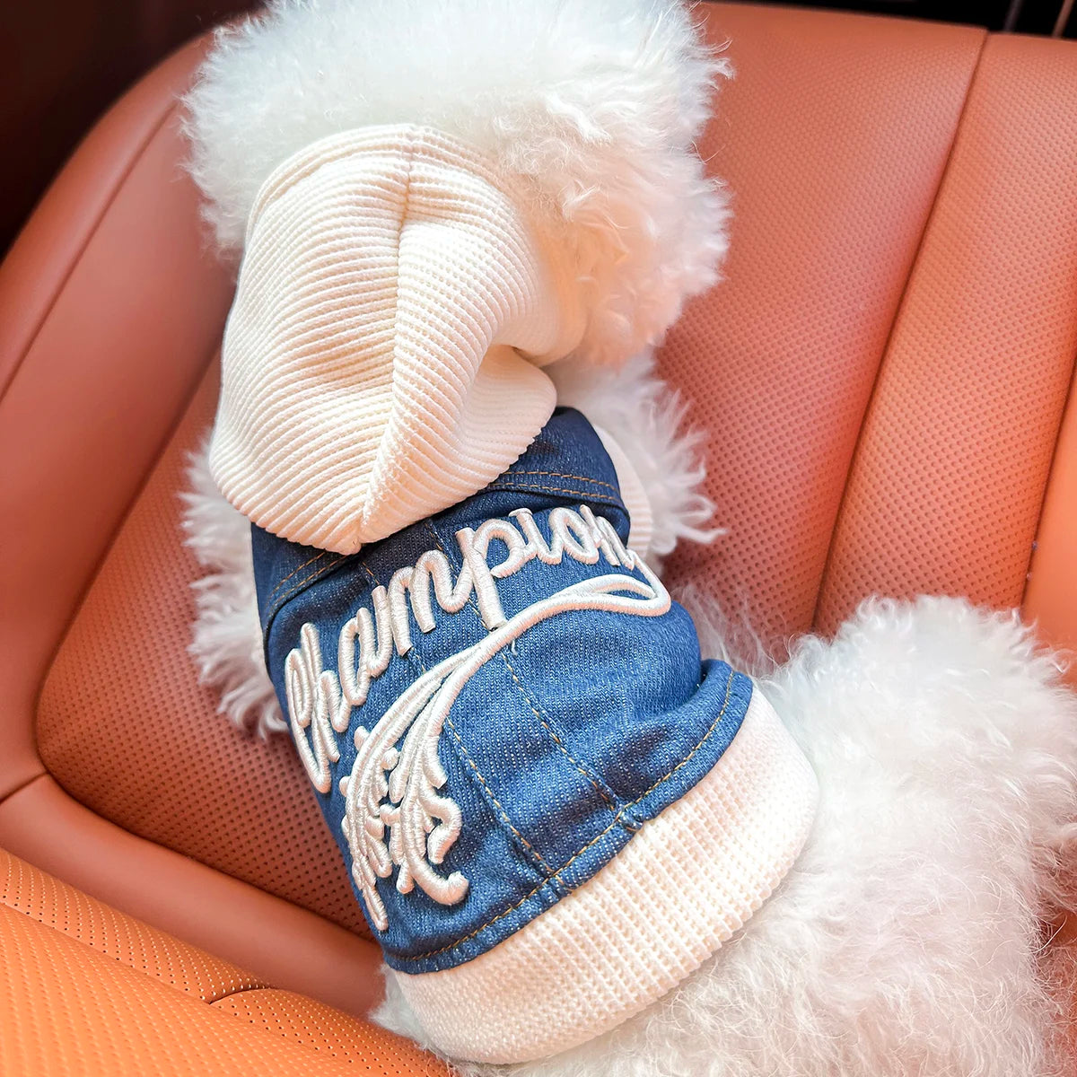 The Varsity Knit Sweater