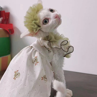 The Botanical Lace Gown & Crown Set