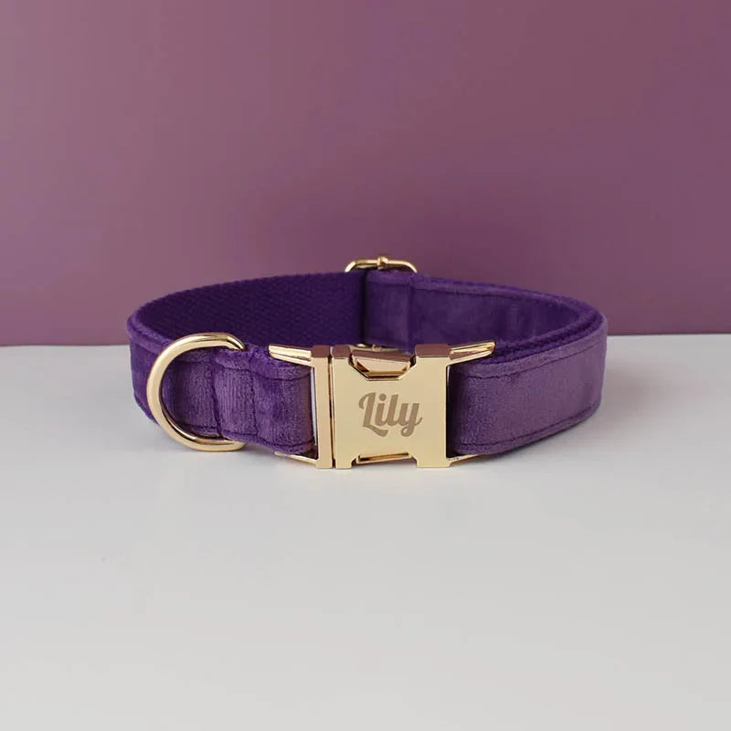 The Artisan Velvet Custom Collar (Royal Plum)