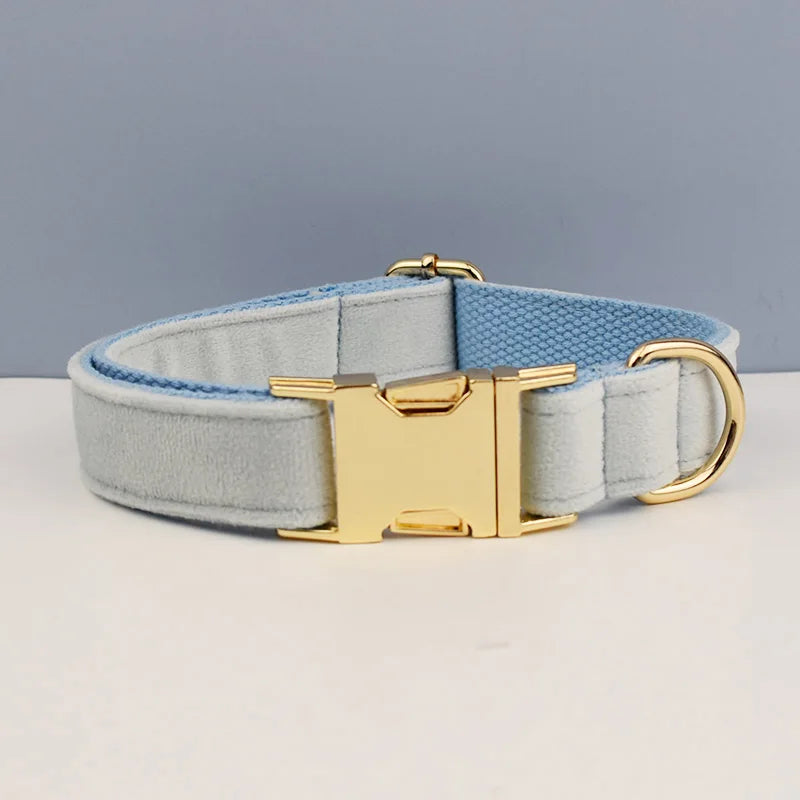 Prestige Retractable Lead System
