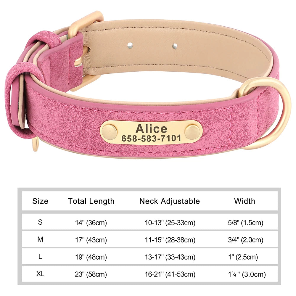 The Classic Engraved Leather Collar